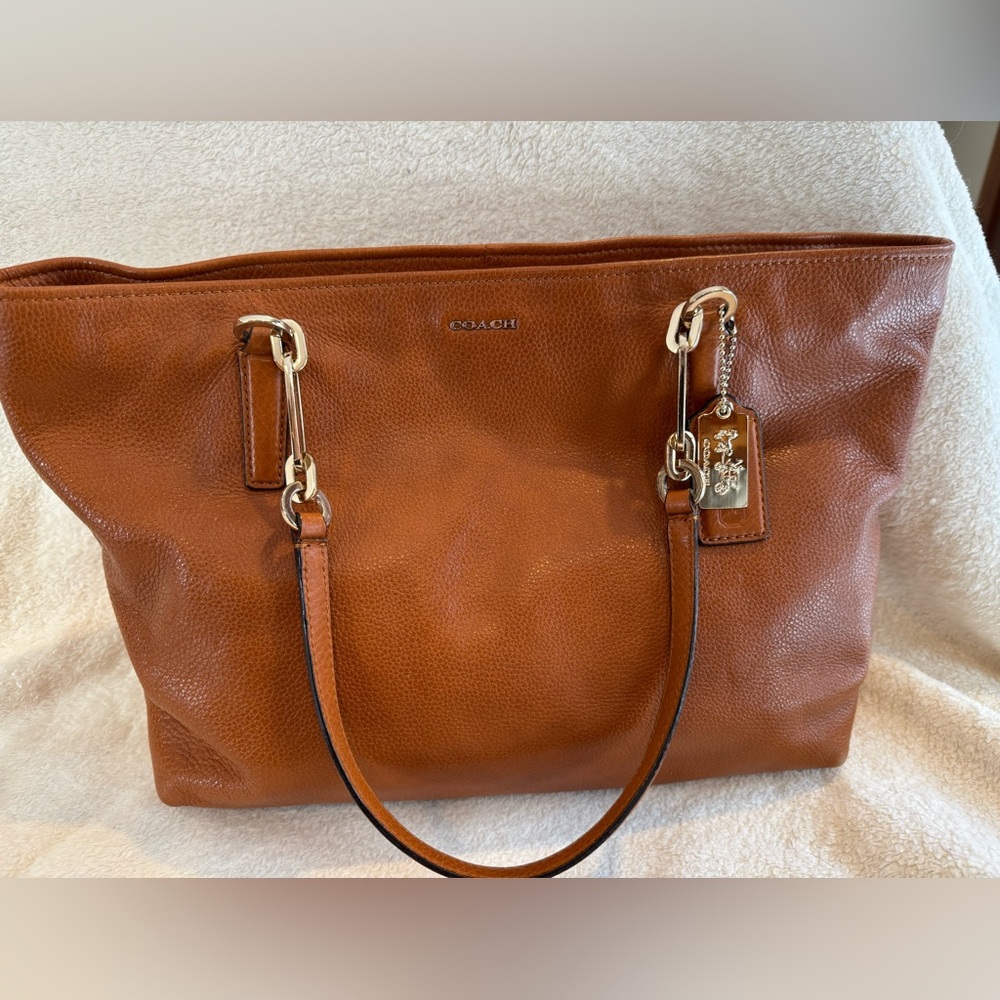 Carmel Leather Coach shopping tote